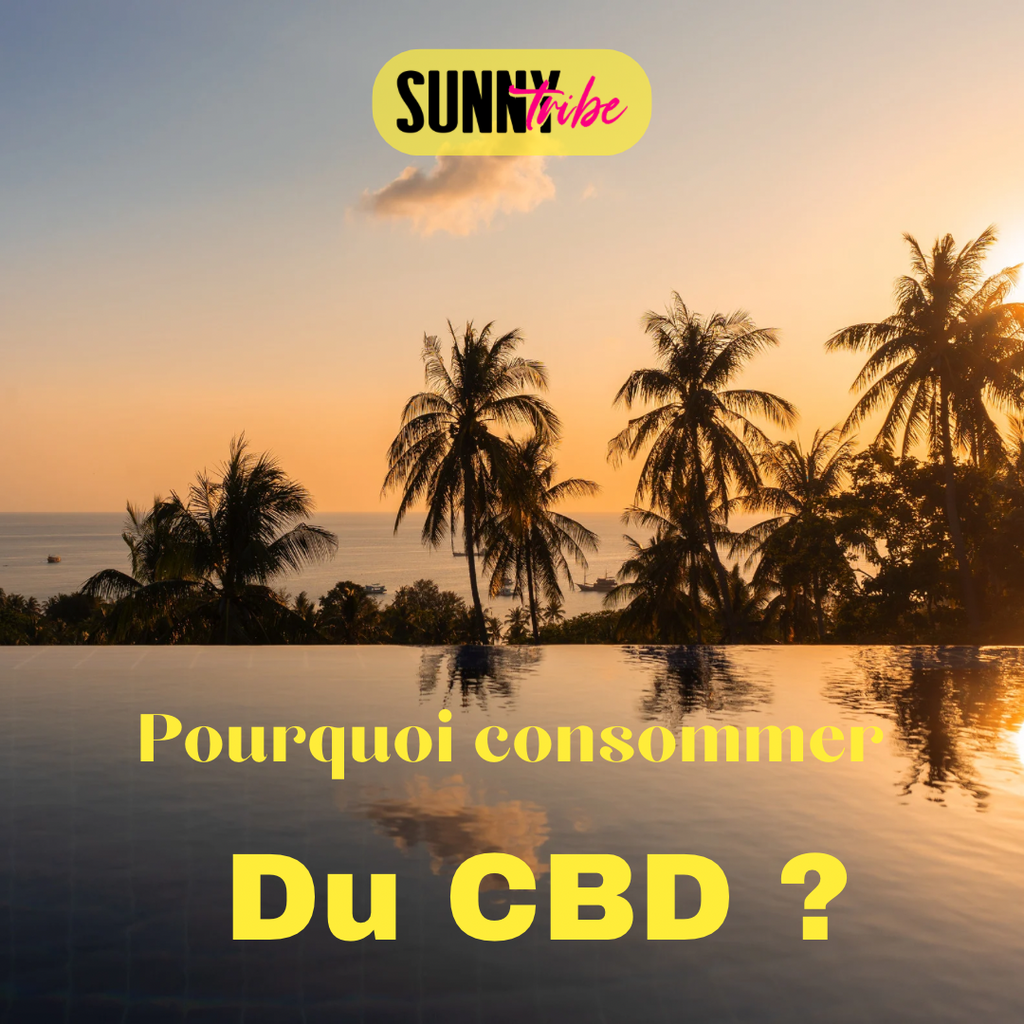 Pourquoi consommer du CBD ?